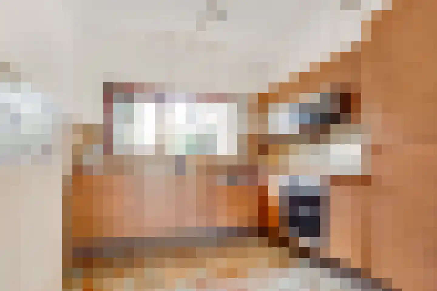 Dirk Wittelaan 5 Utrecht thumbnail 13