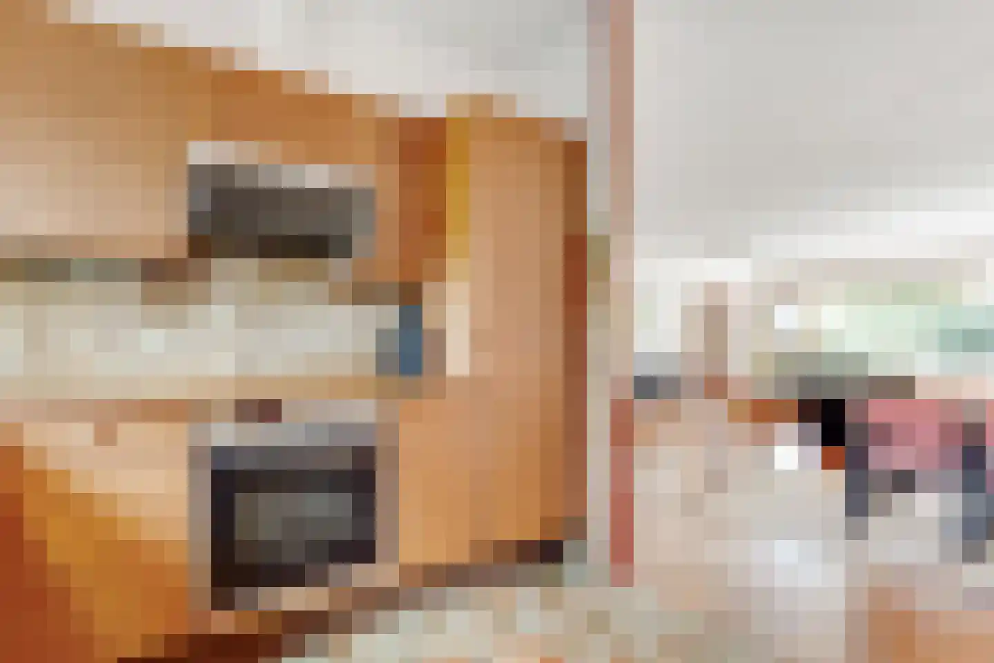 Dirk Wittelaan 5 Utrecht thumbnail 14