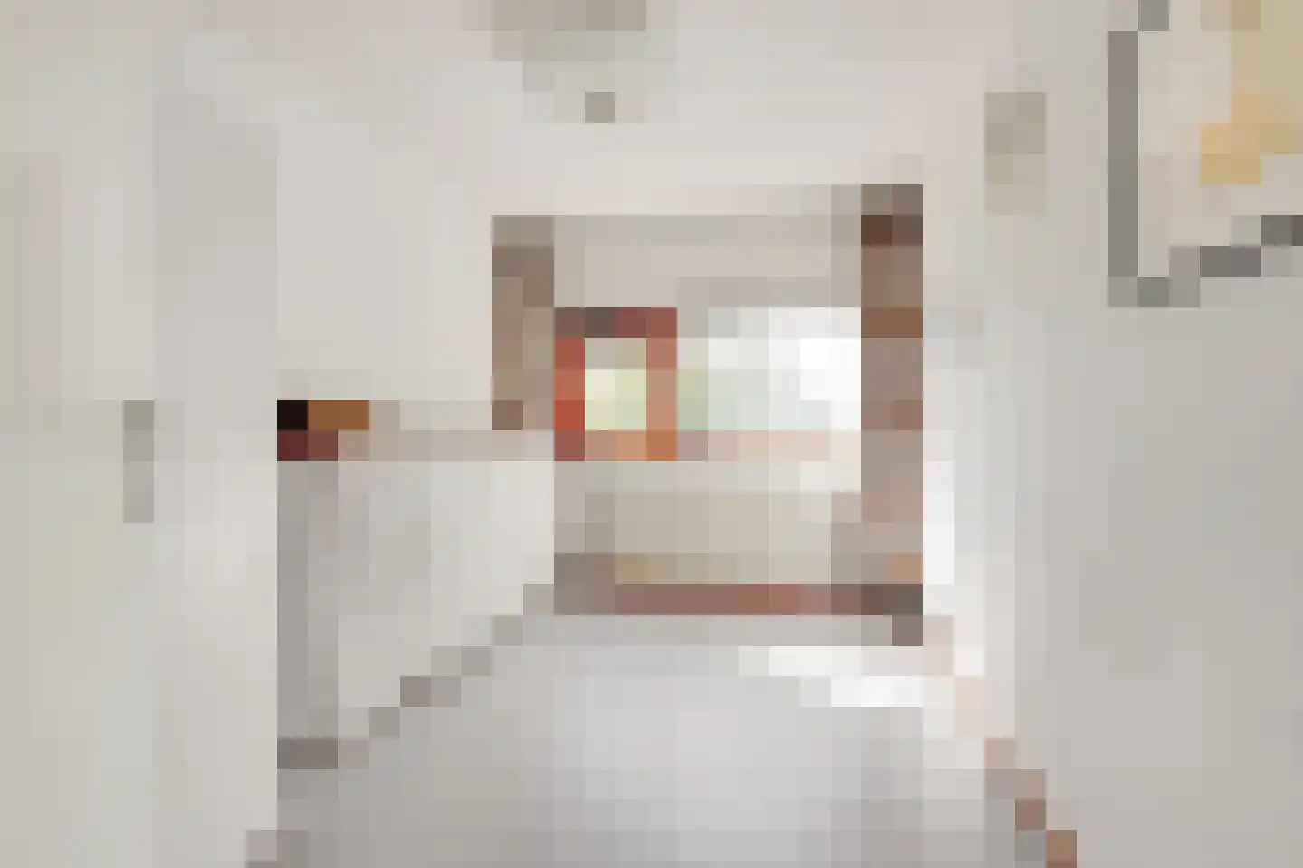 Dirk Wittelaan 5 Utrecht thumbnail 20