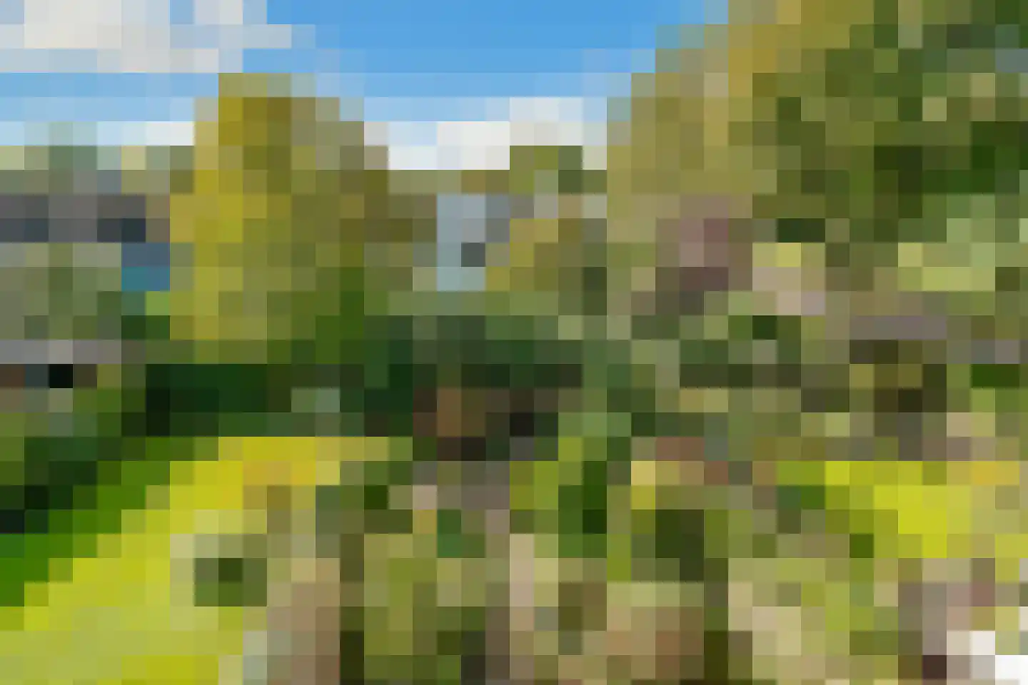 Dirk Wittelaan 5 Utrecht thumbnail 29