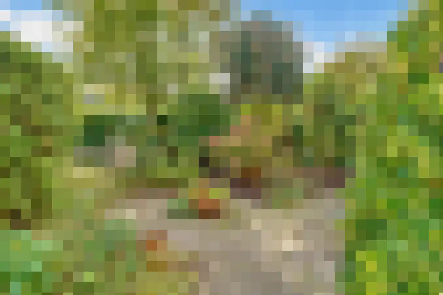 Dirk Wittelaan 5 Utrecht thumbnail 31