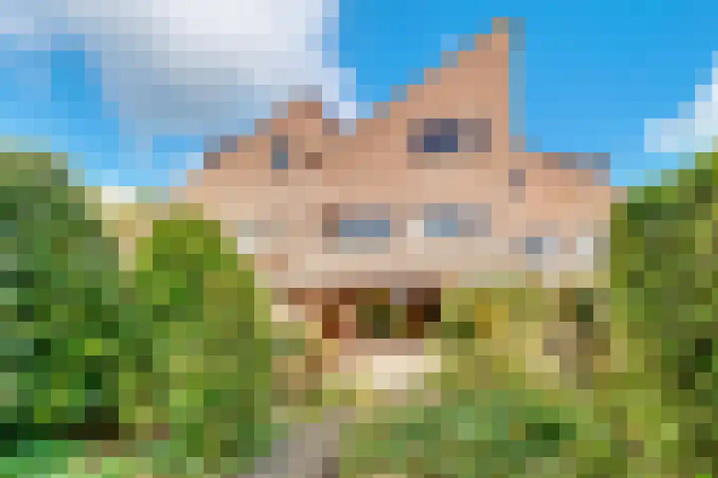 Dirk Wittelaan 5 Utrecht thumbnail 33