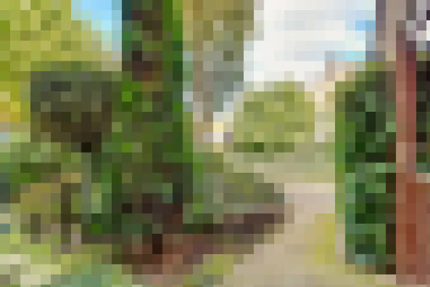 Dirk Wittelaan 5 Utrecht thumbnail 5