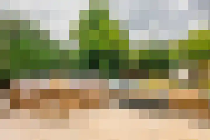Dirk Zweepstraat 1 Kerkrade thumbnail 38