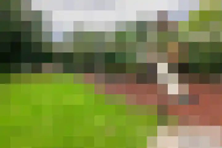 Dirk Zweepstraat 1 Kerkrade thumbnail 41