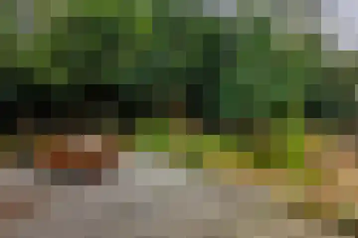 Dirk Zweepstraat 1 Kerkrade thumbnail 43