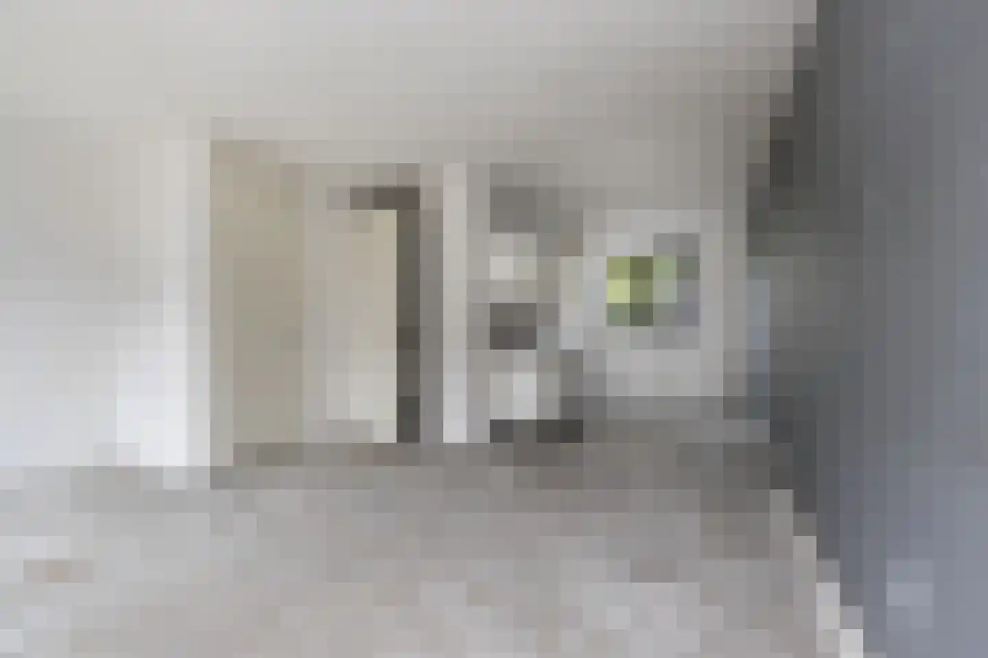 Dirkappel 20 Nieuwendijk thumbnail 16