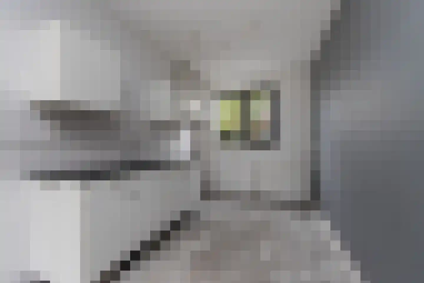 Dirkappel 20 Nieuwendijk thumbnail 17