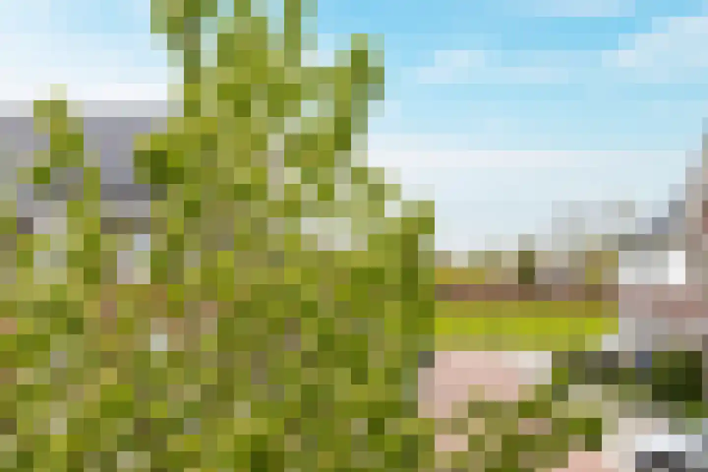 Dirkappel 20 Nieuwendijk thumbnail 23