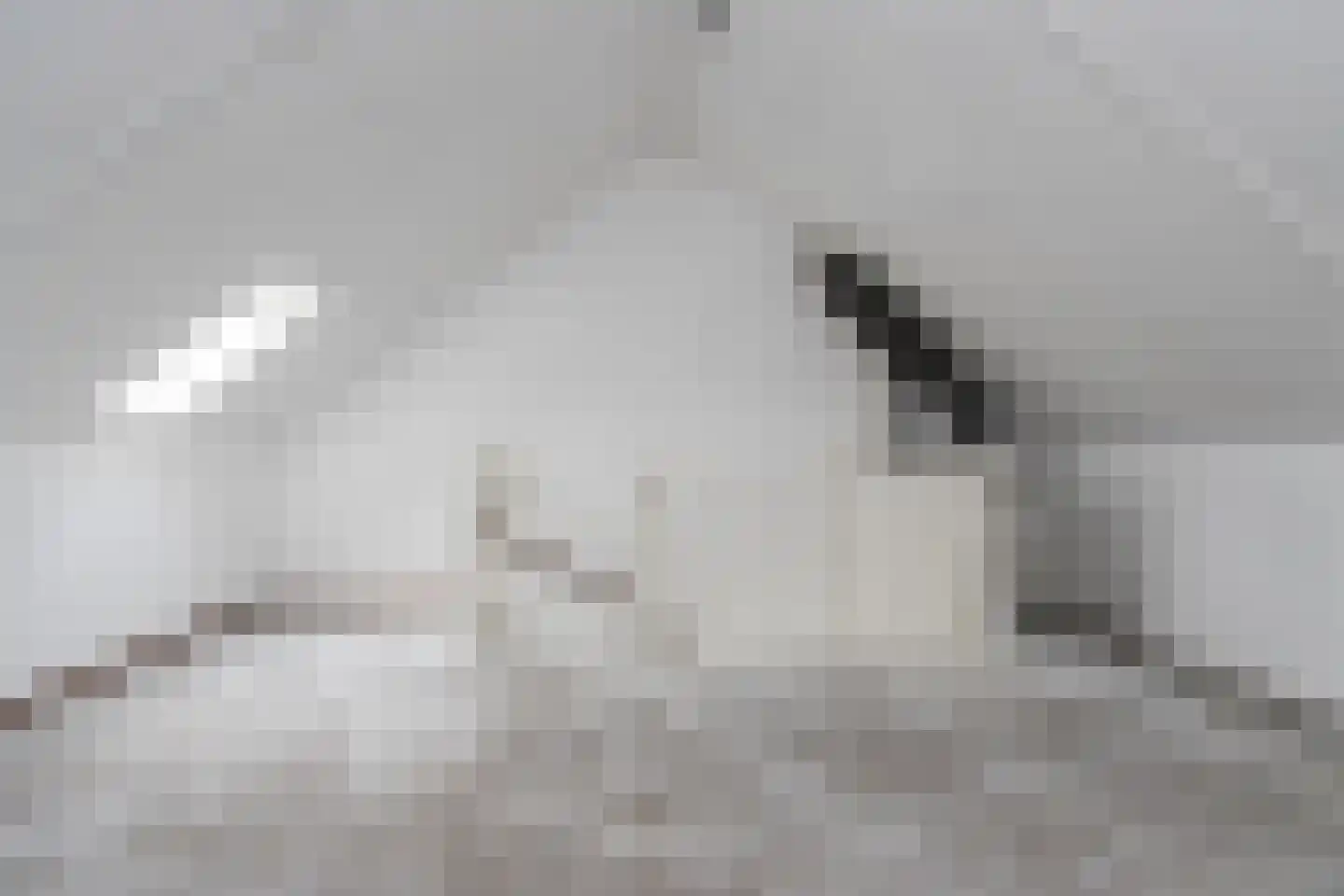 Dirkappel 20 Nieuwendijk thumbnail 32