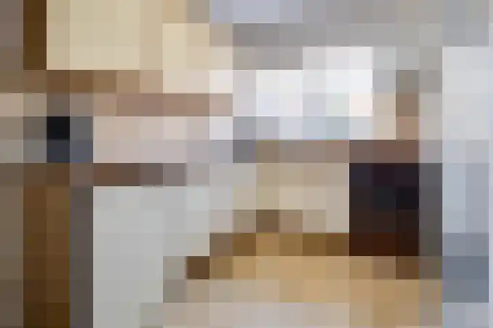 Dirkdoensweg 1 A Ouddorp thumbnail 10