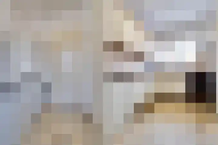 Dirkdoensweg 1 A Ouddorp thumbnail 11