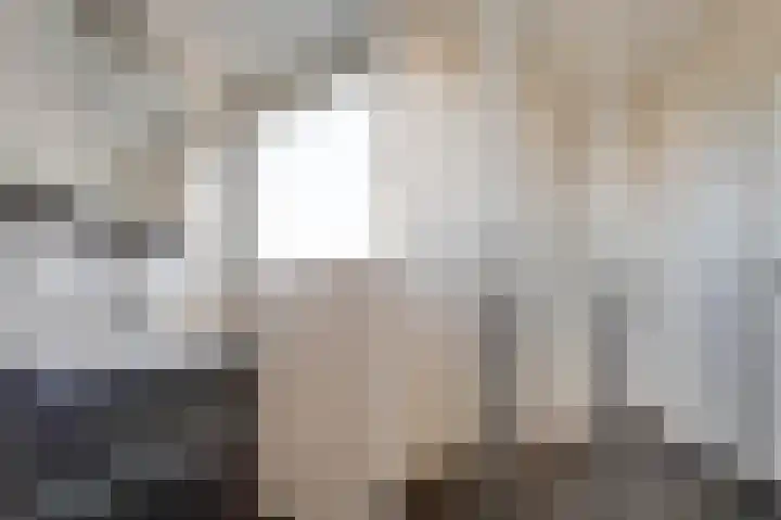 Dirkdoensweg 1 A Ouddorp thumbnail 19