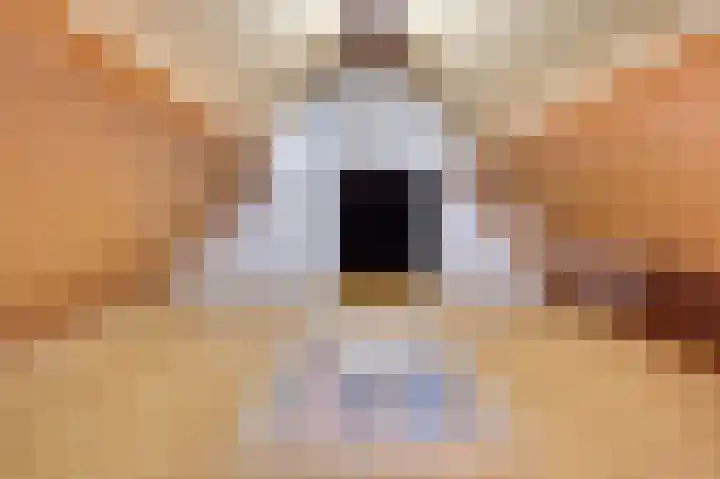 Dirkdoensweg 1 A Ouddorp thumbnail 25