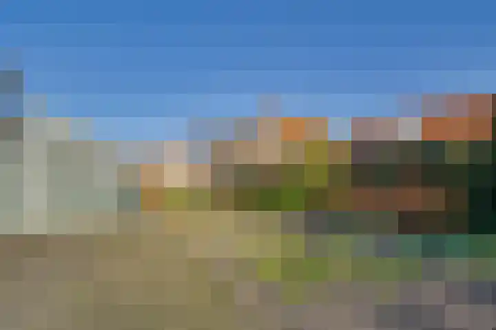 Dirkdoensweg 1 A Ouddorp thumbnail 29