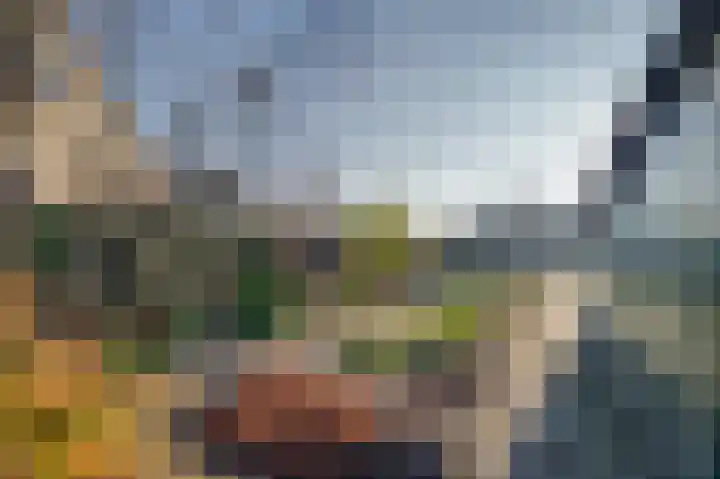 Dirkdoensweg 1 A Ouddorp thumbnail 30