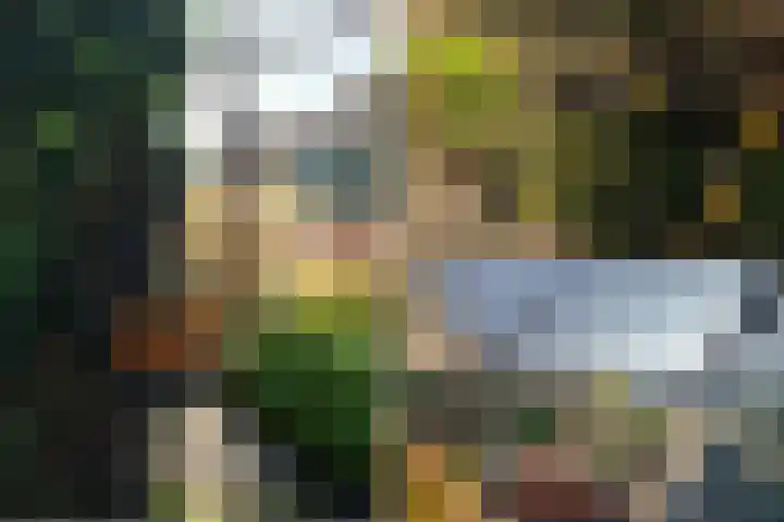 Dirkdoensweg 1 A Ouddorp thumbnail 31