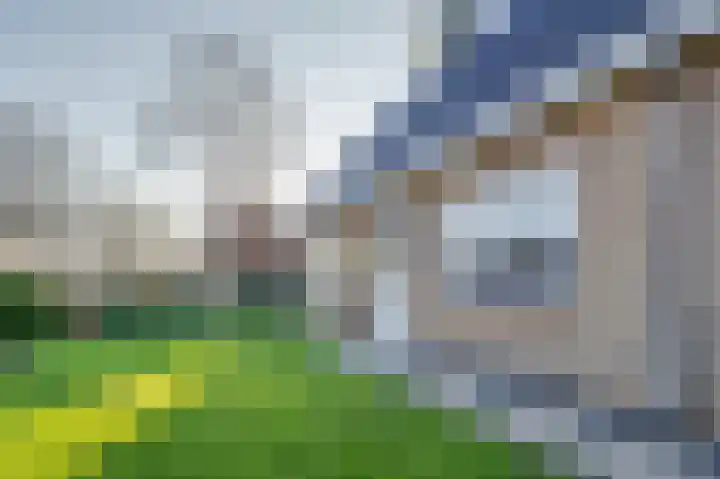 Dirkdoensweg 1 A Ouddorp thumbnail 34