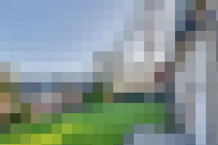 Dirkdoensweg 1 A Ouddorp thumbnail 36