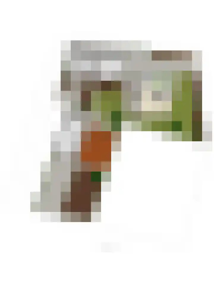 Dirkdoensweg 1 A Ouddorp thumbnail 38