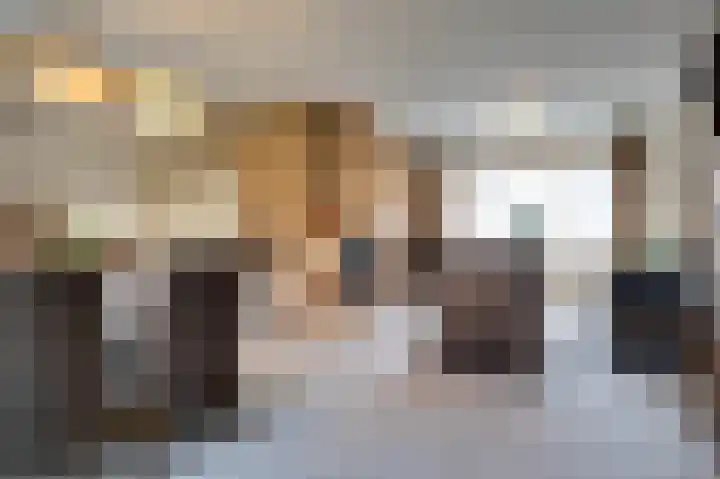 Dirkdoensweg 1 A Ouddorp thumbnail 7