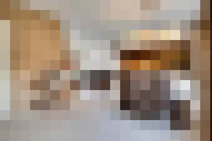Dirkdoensweg 1 A Ouddorp thumbnail 8