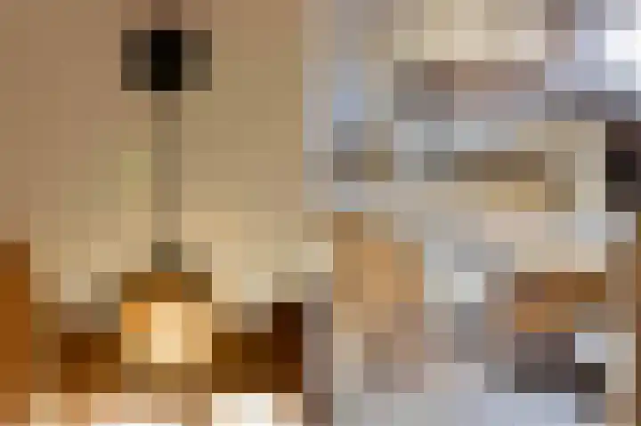 Dirkdoensweg 1 A Ouddorp thumbnail 9