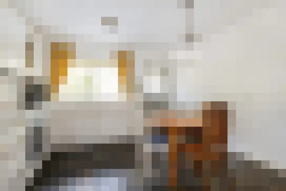 Dirkdoensweg 13 A Ouddorp thumbnail 14