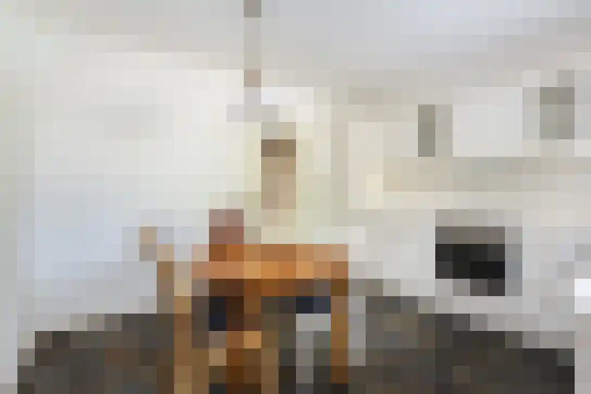 Dirkdoensweg 13 A Ouddorp thumbnail 16