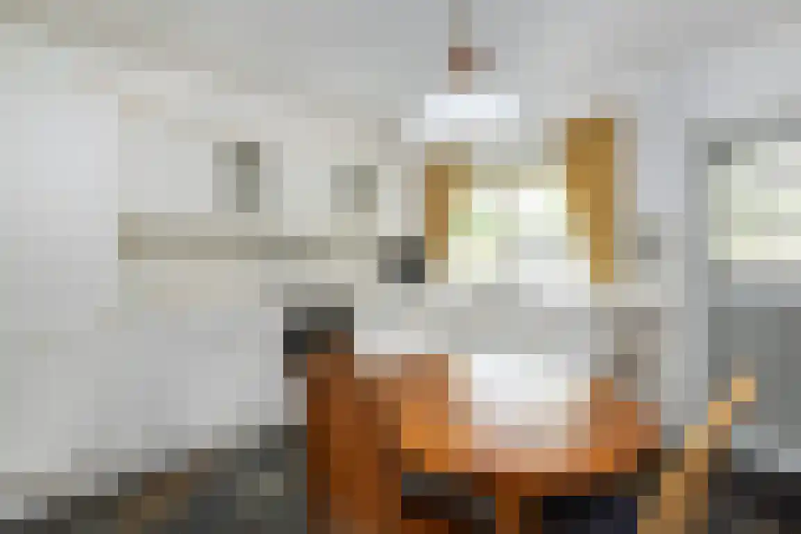 Dirkdoensweg 13 A Ouddorp thumbnail 17