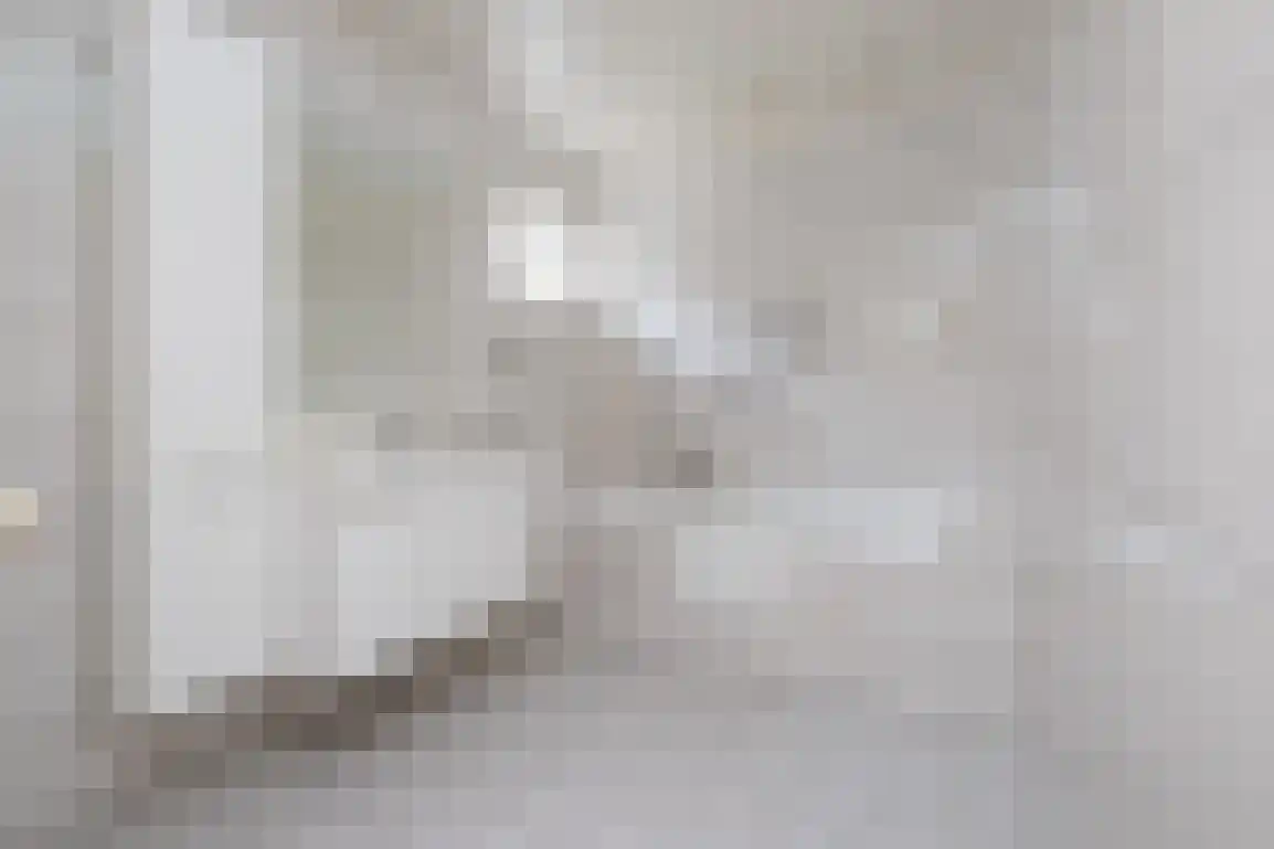 Dirkdoensweg 13 A Ouddorp thumbnail 21