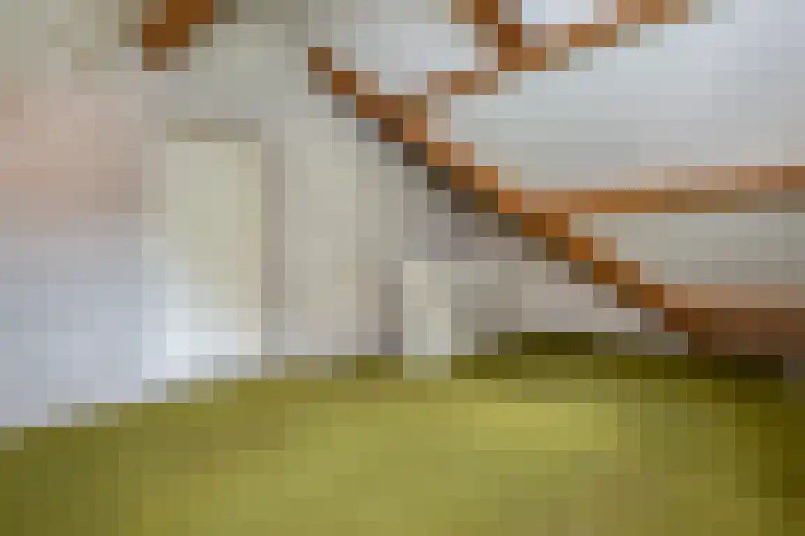 Dirkdoensweg 13 A Ouddorp thumbnail 27