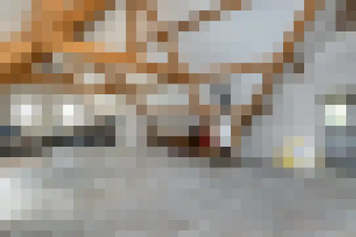 Dirkdoensweg 13 A Ouddorp thumbnail 32