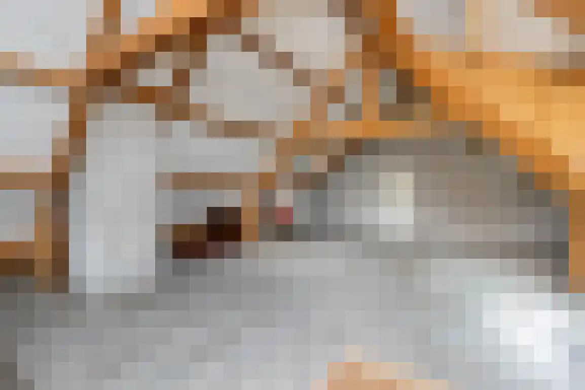 Dirkdoensweg 13 A Ouddorp thumbnail 33