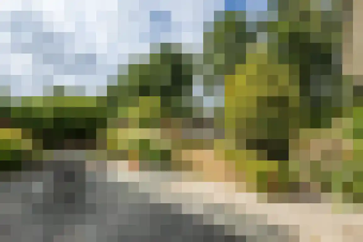 Dirkdoensweg 13 A Ouddorp thumbnail 37