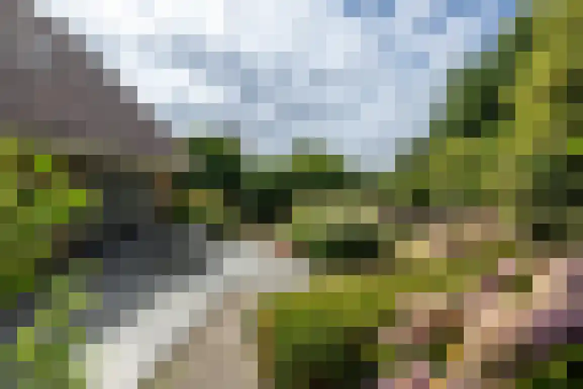 Dirkdoensweg 13 A Ouddorp thumbnail 38