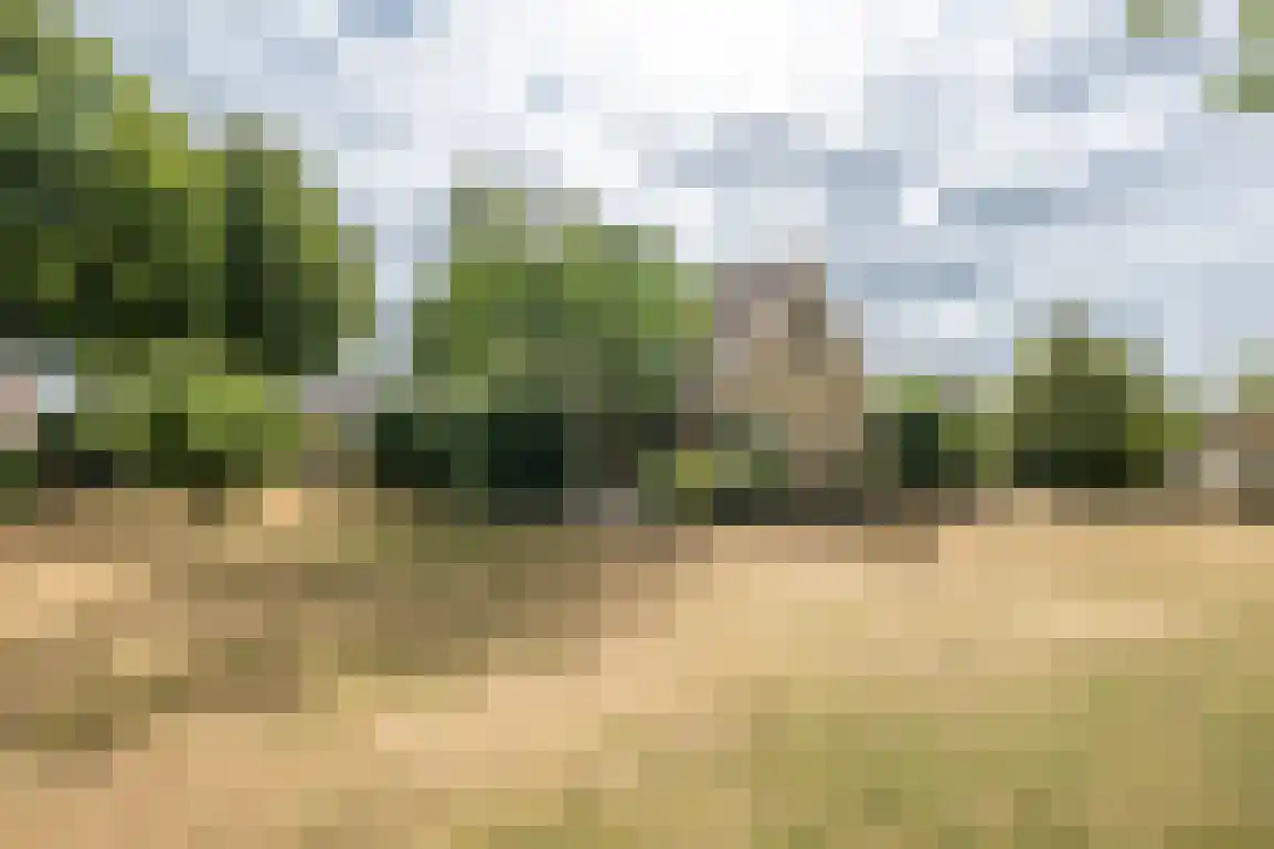 Dirkdoensweg 13 A Ouddorp thumbnail 43