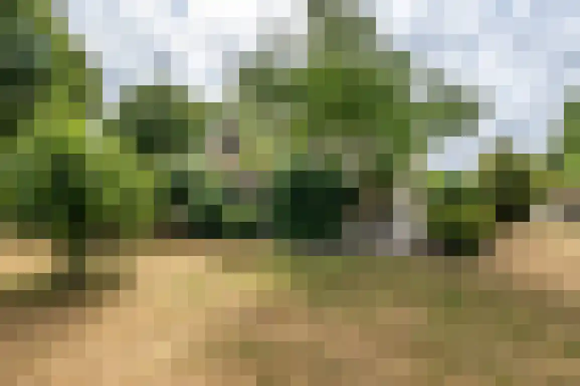 Dirkdoensweg 13 A Ouddorp thumbnail 44