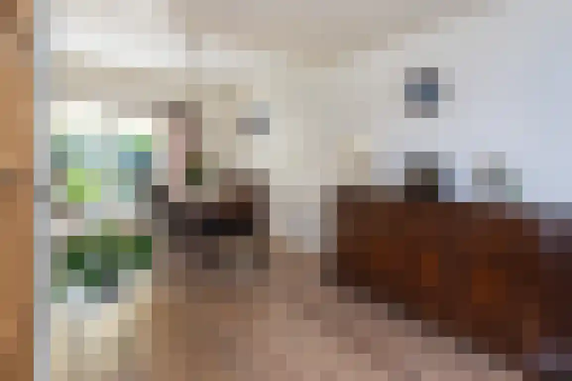 Dirkdoensweg 4 Ouddorp thumbnail 12