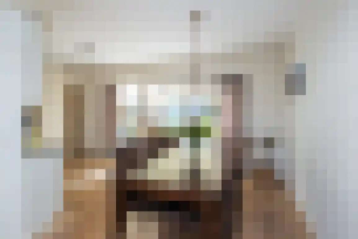 Dirkdoensweg 4 Ouddorp thumbnail 13