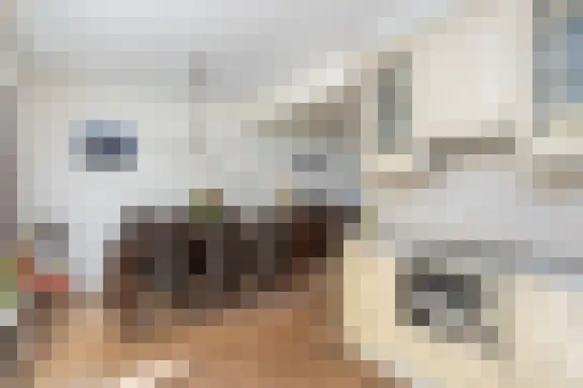 Dirkdoensweg 4 Ouddorp thumbnail 15