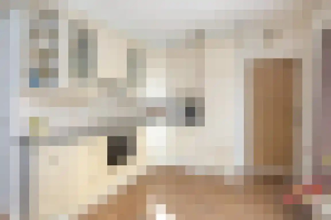 Dirkdoensweg 4 Ouddorp thumbnail 16