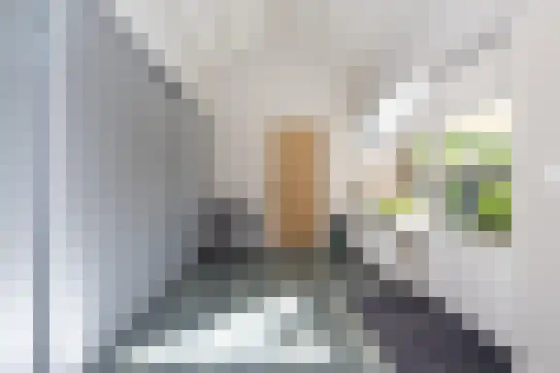 Dirkdoensweg 4 Ouddorp thumbnail 18
