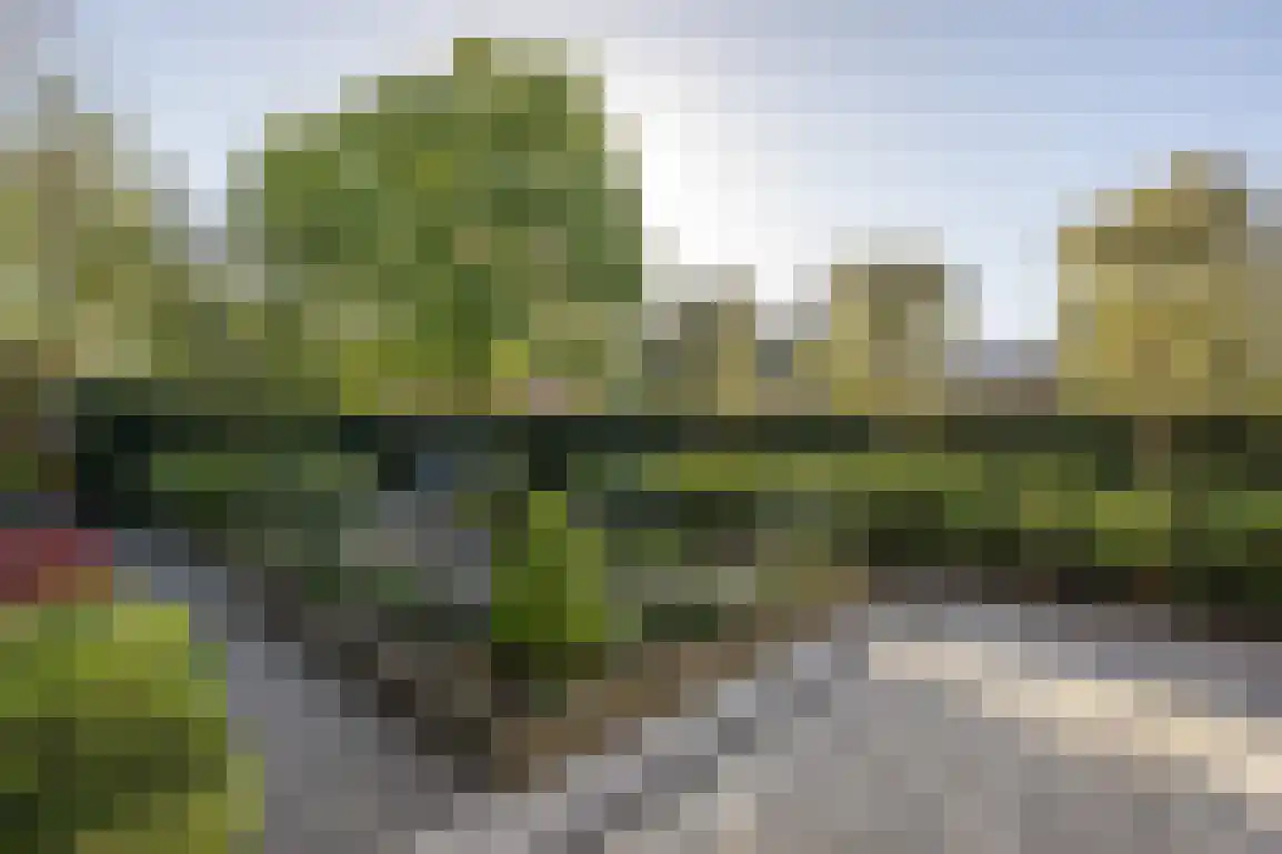 Dirkdoensweg 4 Ouddorp foto 2