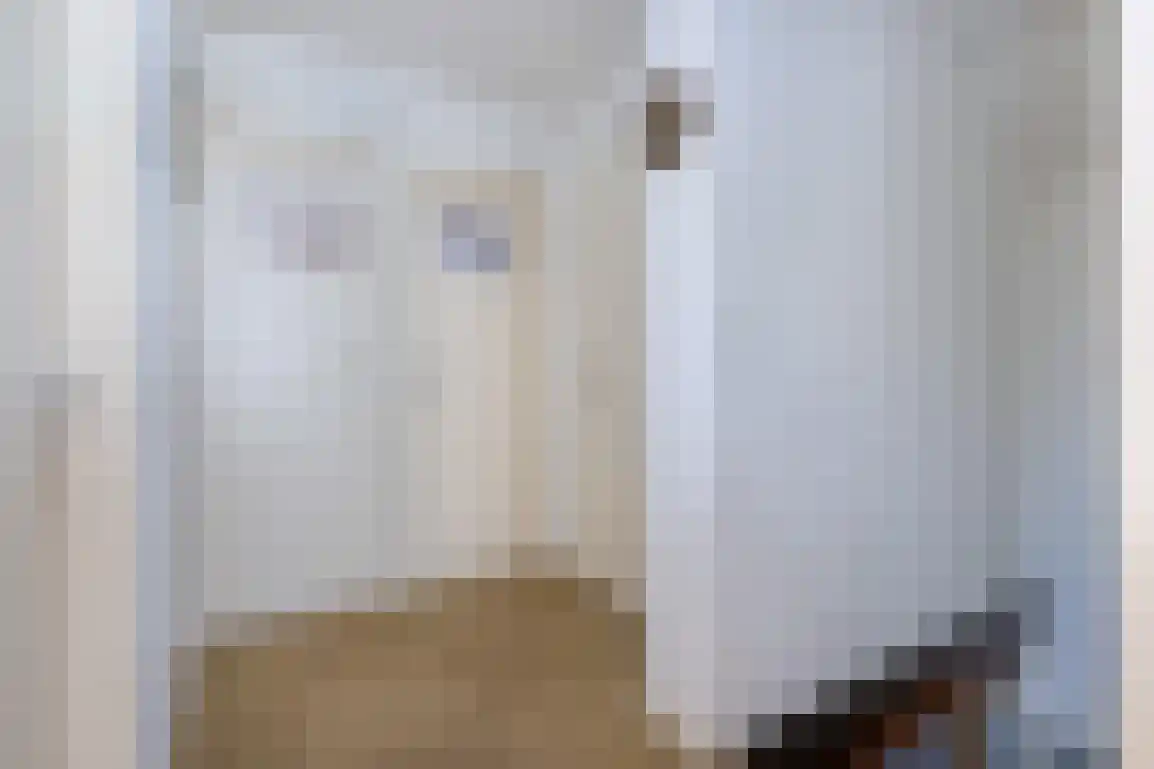 Dirkdoensweg 4 Ouddorp thumbnail 25