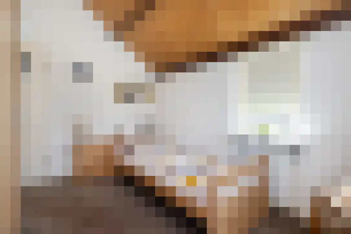 Dirkdoensweg 4 Ouddorp thumbnail 30