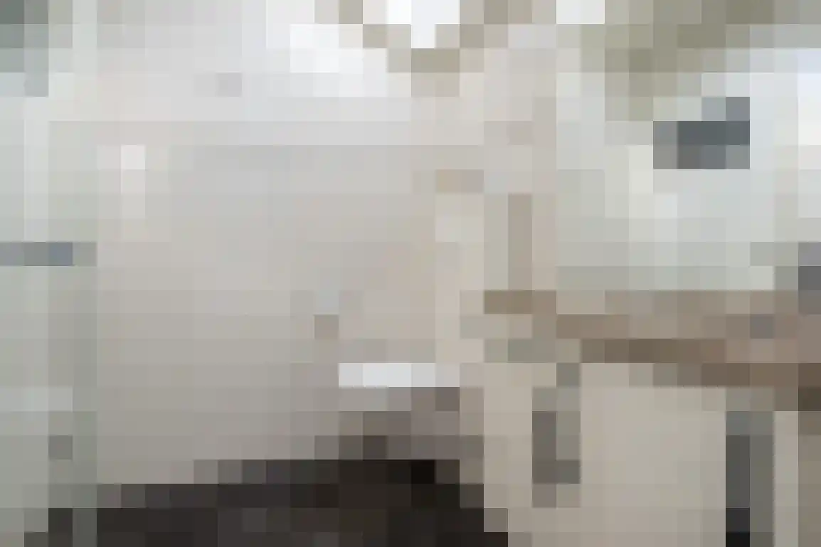 Dirkdoensweg 4 Ouddorp thumbnail 31