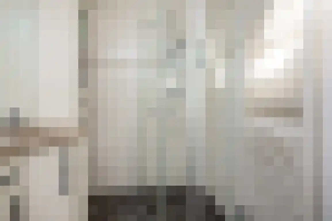 Dirkdoensweg 4 Ouddorp thumbnail 33