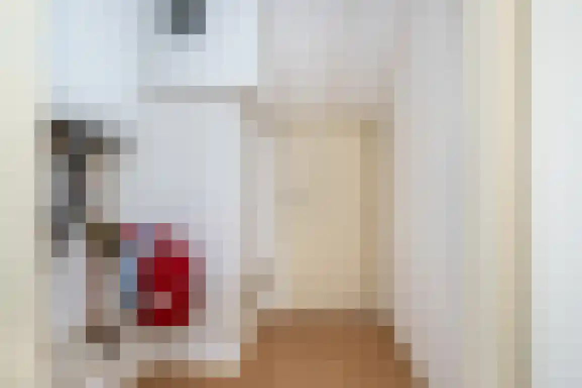 Dirkdoensweg 4 Ouddorp thumbnail 34