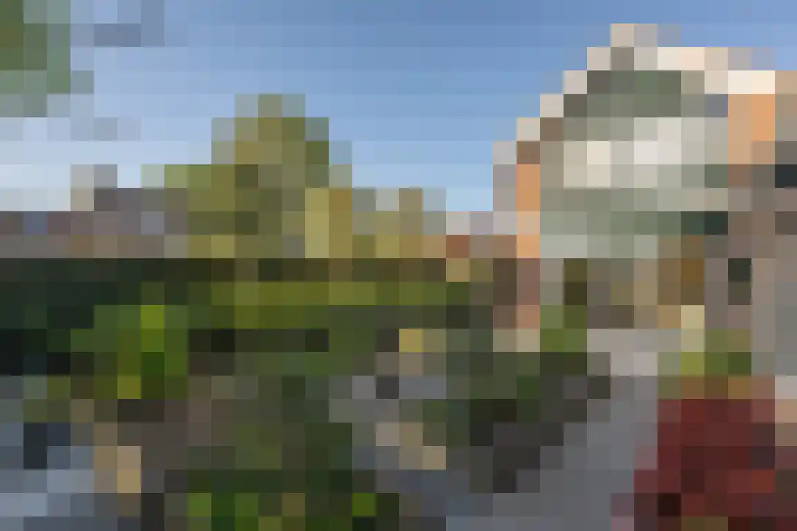 Dirkdoensweg 4 Ouddorp thumbnail 36